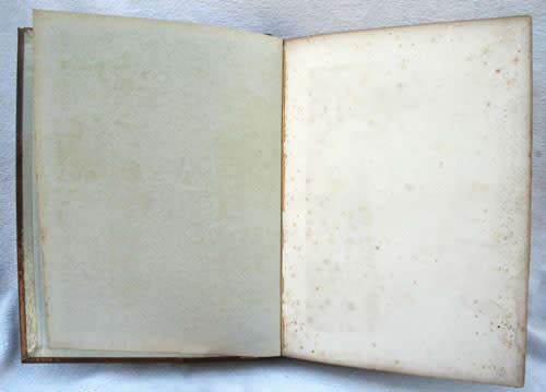 Picturesque Palestine : Sanai and Egypt  (vol I)