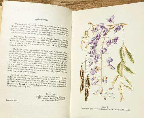 BOME EN STRUIKE VAN DIE NASIONALE KRUGER-WILDTUIN -- L.E.W. Codd