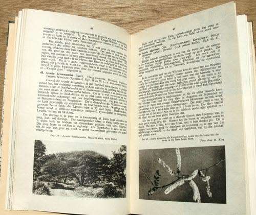 BOME EN STRUIKE VAN DIE NASIONALE KRUGER-WILDTUIN -- L.E.W. Codd