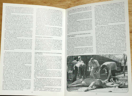 WILDBOERDERY & NATUURRESERVAATBESTUUR -- Eddie Young.