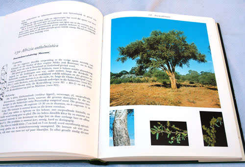 Bome van die Nasionale Krugerwildtuin -- P. van Wyk