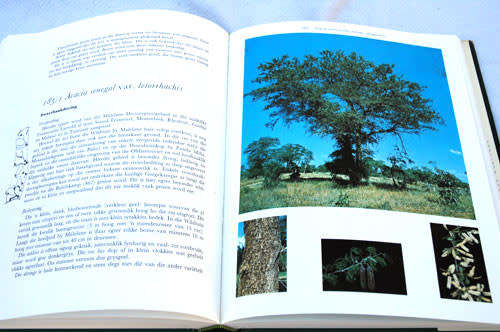 Bome van die Nasionale Krugerwildtuin -- P. van Wyk