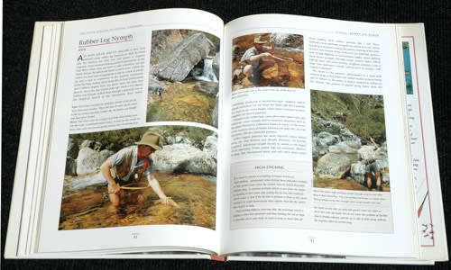 THE SOUTH AFRICAN FLY-FISHING HANDBOOK -- Dean Riphagen