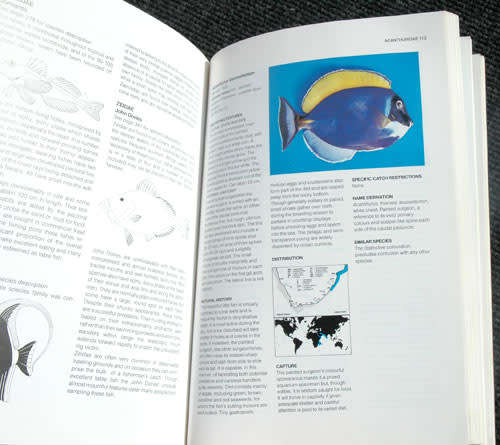 THE COMMON SEA FISHES OF SOUTHERN AFRICA -- Rudy van der Elst