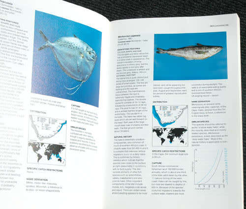 THE COMMON SEA FISHES OF SOUTHERN AFRICA -- Rudy van der Elst
