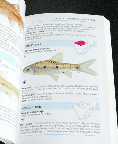 A Complete Guide to Freshwater Fishes of Southern Africa -- Paul Skelton