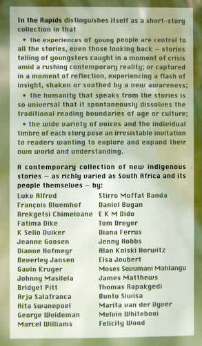 In the Rapids : New South African Stories