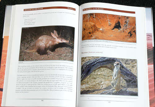 KINDERS VAN DIE DUINE -- Fritz Eloff (Geteken)