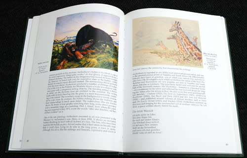 THE PRETORIA ART MUSEUM : The German Contribution  -- Eric Bolsmann