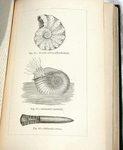 Moses And Geology or the Harmony of the Bible with Science -- Samuel Kinns (Inscribed by author)