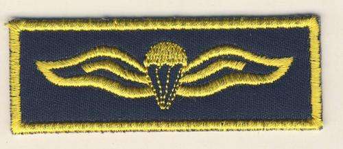 *F4221 - SADF Parawing - Designed for SAPS members that are SADF Parachute Trained