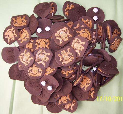 F5699 - **CLEARANCE** LOT OF 47 PAIRS - SA Army S/M Class II Rank Badges - ORIGINAL