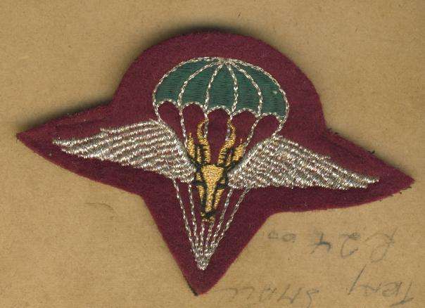 (A1196) BERET BADGE - SA Special Forces - 1 Para Officer Badge - 2nd Type - Variation