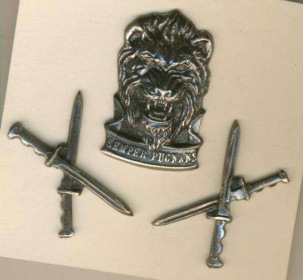 (3980) SWA Reaction Force -  Infantry - Cap & Collar Pair (Obsolete) - ORIGINAL!!