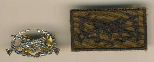 (0239) PROFICIENCY BADGES - SWA Army 1st Class Shottist - Field & Office - (Obsolete) - ORIGINAL!!