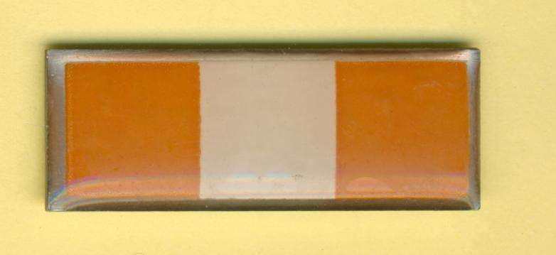 (1061) BERET BAR - SA Army Personnel Corps (2nd Type) Larger - ORIGINAL!!!