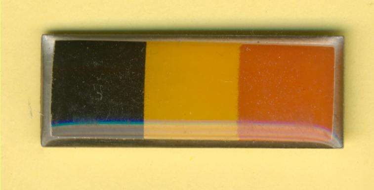 (1156) BERET BAR - SA Military Police 2nd Pattern - Larger - ORIGINAL!!!