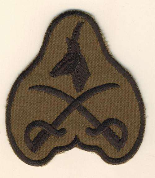 (1282)  PROFICIENCY BADGE:  SA Army PT Instructor (1990 to 2000) - Field Dress - ORIGINAL!!