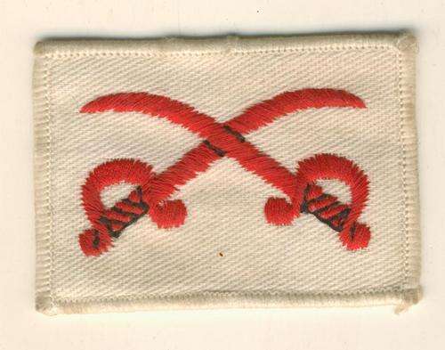 (1425)  PROFICIENCY BADGE:  SA Army Assistant PT Instructor Old Type Tracksuit Badge - ORIGINAL!!