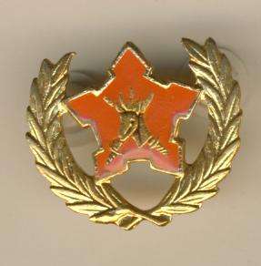 (3245) SA Army AWARD - for 5 Years Voluntary Service - Obsolete - ORIGINAL!!