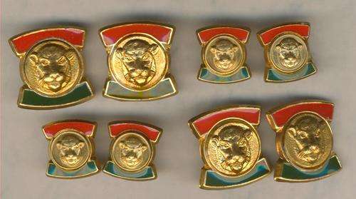 *(0274) 8 X RANK PIPS - Bopthuthatswana Defence Force - Officer - Obsolete  - ORIGINAL!!