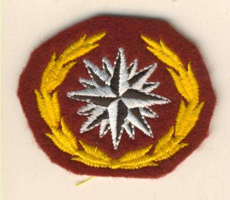 (0589) BERET BADGE - SA Special Forces 2nd Type Recce - REPRODUCTION!!!