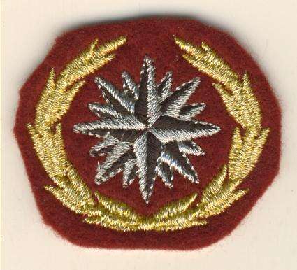 (0590) BERET BADGE - SA Special Forces 3rd Type Recce - REPRODUCTION!!!