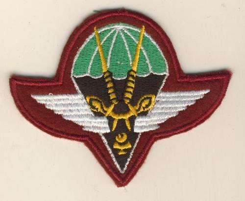 (0599) BERET BADGE - SWA Paratrooper - REPRODUCTION!!!