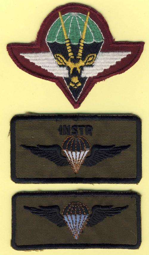 F0841 - BERET BADGE & 2 x PARA WINGS - SWA Army - Obsolete - ORIGINAL!!