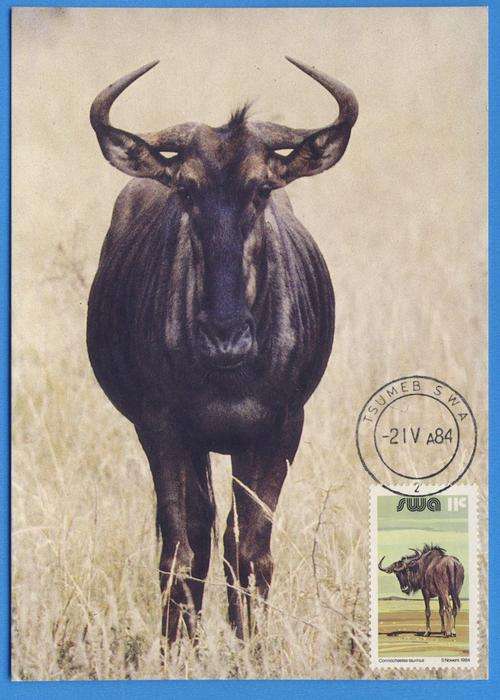 *F1646 - S.W.A. 1984:-  Maxi Card No. 9 - Addition to Definitive