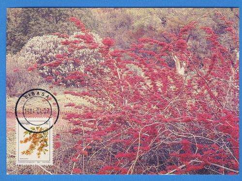 *F1650 - VENDA 1984:-  Maxi Card No. 9 - Addition to Definitive