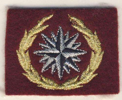 F2880 - REPRODUCTION - SA Recce Gold & Silver Lurex  BERET BADGE - Varient
