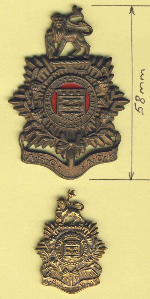*F3130 - SA Administrative Corps CAP BADGE & 1 COLLAR - Brass