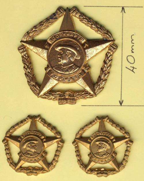 F3679 - SA Regiment Botha CAP BADGE & COLLAR PAIR from 1962