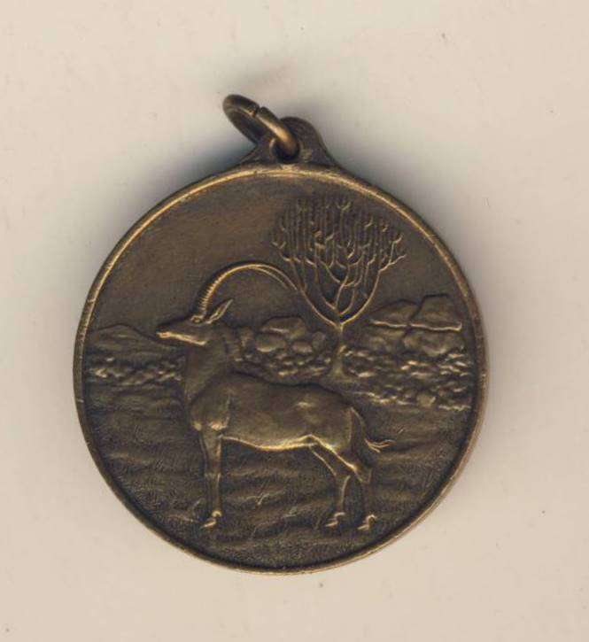 F3898 - MEDALLION - 40th Anniversary - Occupation of Matabeleland 1893 to 1933 - Southern Rhodesia