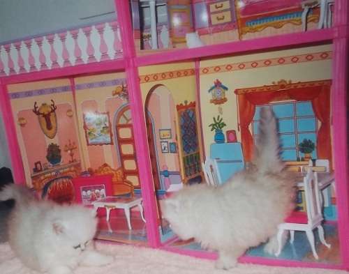 IMPORTED MY PRETTY DOLL HOUSE- EASY TO ASSEMBLE FULLY FURNISHED DOLL HOUSE -  FOR 30 cm BARBIE DOLLS