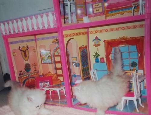 IMPORTED MY PRETTY DOLL HOUSE- EASY TO ASSEMBLE FULLY FURNISHED DOLL HOUSE -  FOR 30 cm BARBIE DOLLS