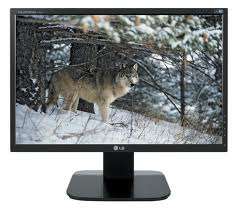 LG 19" LCD Screen.