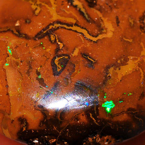 6.21ct AUSTRALIAN MULTI-COLOR KOROIT NUT MATRIX BOULDER OPAL (Video inside)