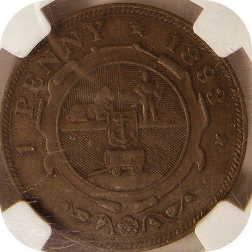 The RARE 1893 Penny in brown NGC AU50!   Top Grade gem for R1...