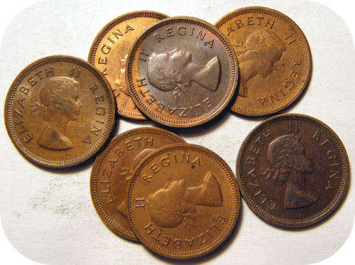 SA Unie: 7 x 1955 1/4d in EF onder R20!  Bie per munt.