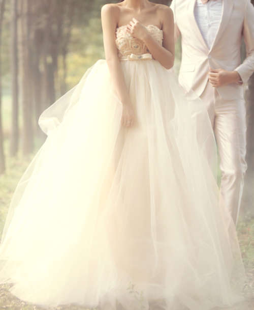 *Special* Gorgeous Puffy Strapless Bridal Gown Wedding Dress With Daises and Bow Ribbon