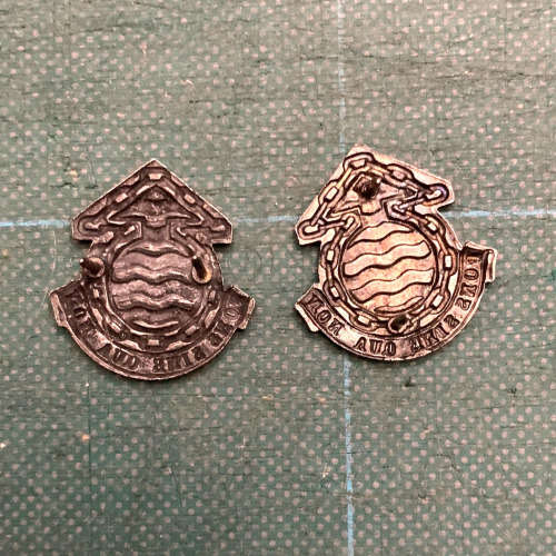 Maintenance collar badges