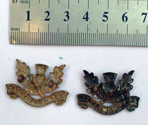 Transvaal Scottish collar badges