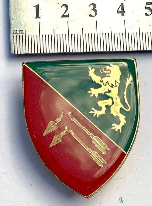 SWA TF 91 Ambulance Brigade pocket flash