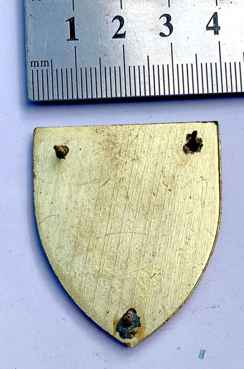 SWA TF 91 Ambulance Brigade pocket flash