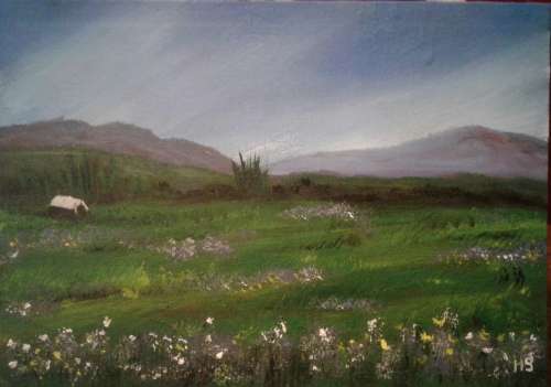 Greenfields of my Youth