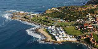 PERNA PERNA MOSSEL BAY BARGAIN