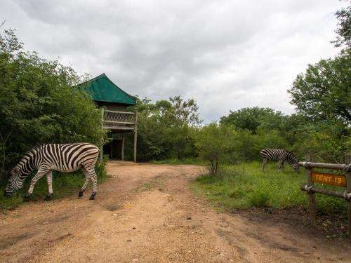 JACKALBERRY RIDGE Mpumalanga December BARGAIN