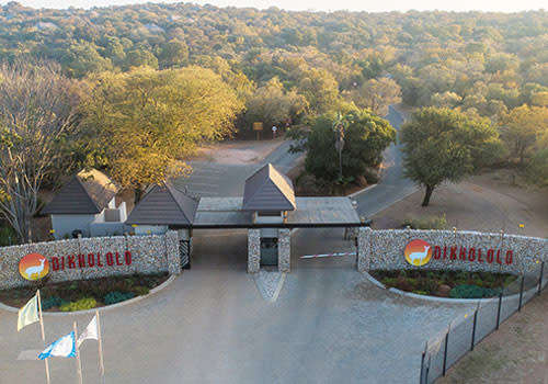 DIKHOLOLO MIDWEEK BARGAIN